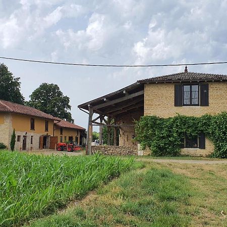 Le Moulin Du Fay Bed and Breakfast Villemotier Esterno foto
